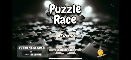 Puzzle Race cover
